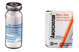 A ceftriaxon vagy az Amoxiclav gyógyszerek összehasonlítása, és melyik a jobb