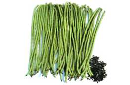 Apa perbedaan antara asparagus dan kacang hijau?