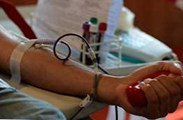 Čo je lepšie darovať krvné alebo plazmatické vlastnosti a rozdiely