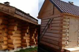 Apa cara terbaik untuk membangun sauna dari aspen atau pinus?
