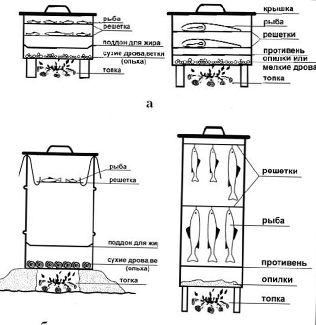 Як коптити рибу в коптильні?