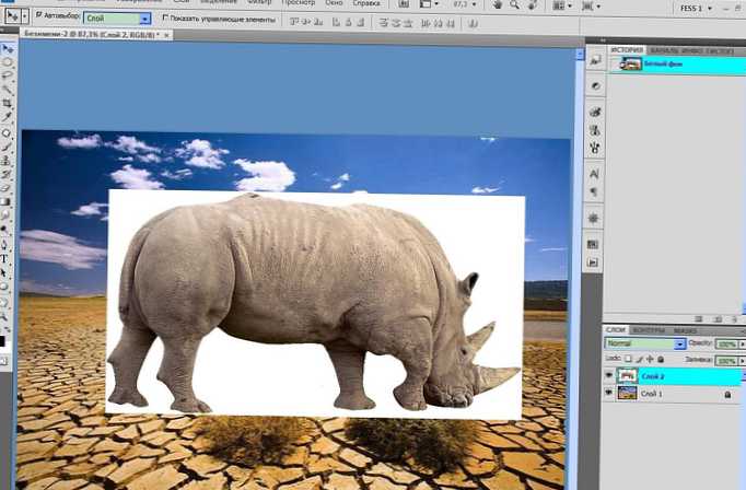 Bagaimana cara menghapus latar belakang putih di Photoshop?