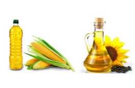Katero olje je bolje izbrati koruzno ali sončnično?