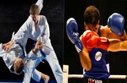 Kakšne borilne veščine je bolje izbrati judo ali boks