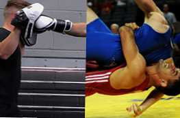Який вид спорту краще вибрати бокс або боротьбу?