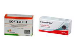 Cortexin alebo Pantogam - aký je rozdiel medzi liekmi a ktorý je lepší