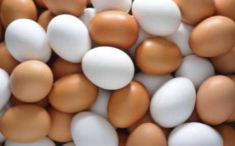 Perbedaan antara telur putih dan coklat