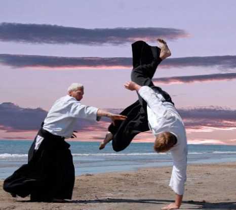 A különbség az aikido és a karate között