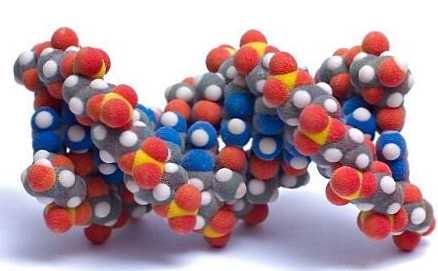 Разлика између аминокиселина и БЦАА