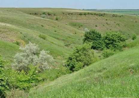 Різниця між балкою і яром