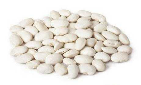 Perbedaan antara kacang putih dan merah