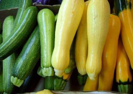 Perbedaan antara zucchini dan labu