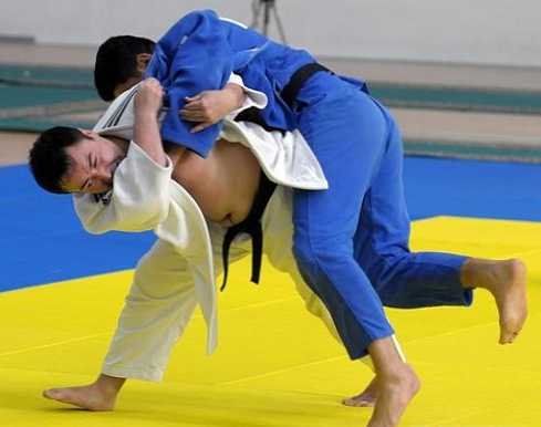 Perbedaan antara karate dan judo