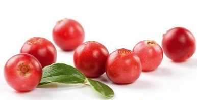 Perbedaan antara cranberry dan lingonberry