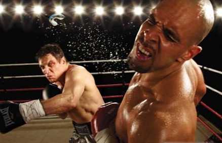 Perbedaan antara knockout dan knockdown