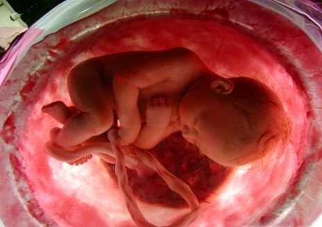 Razlika između fetusa i embrija