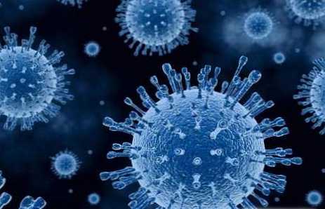 Rozdíl mezi virem a mikrobem