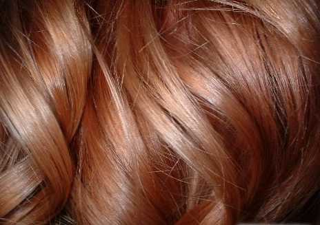 A haj és a haj közötti különbség