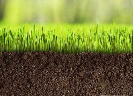 Разликата между земя и почва