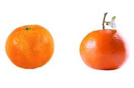 Kakšna je razlika med klementinami in mandarinami