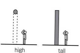 У чому різниця між словами high і tall