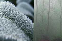 Koja je razlika između riječi smrznuti i smrznuti?