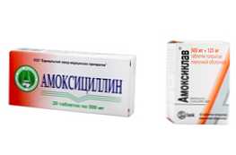 Amoxicillin atau Amoxiclav bagaimana mereka berbeda dan mana yang lebih baik