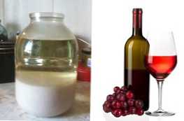 По какво се различава Брага от виното? Характеристики и разлики