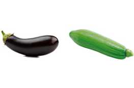 Apa perbedaan antara sifat terong dan zucchini dan perbedaannya
