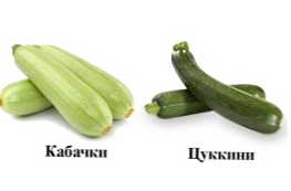 Apa perbedaan antara zucchini dan zucchini