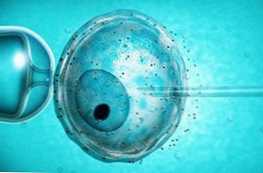 Apa perbedaan antara fertilisasi IVF dan ICSI