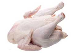 Apa perbedaan antara fitur dan perbedaan daging kalkun dan ayam