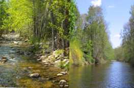 Kakšna je razlika med potokom in reko - glavne razlike