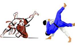 Mi a különbség a szambo és a judo között - hogyan kell eldönteni?