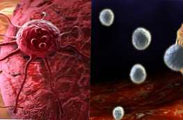 Koja je razlika između sarkoma i raka