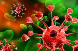 Kakšna je razlika med virusom in bakterijami in kaj imajo skupnega