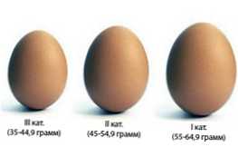 Која је разлика између јаја 1, 2 и 3 категорије?