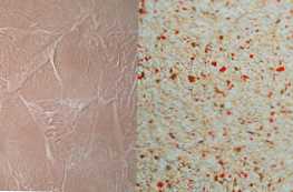 Apa perbedaan antara wallpaper cair dan plester dekoratif?
