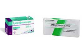 Ciprofloxacin vagy Amoxicillin - jobb választani