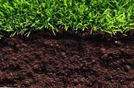 Talaj és talaj - hogyan különböznek egymástól?