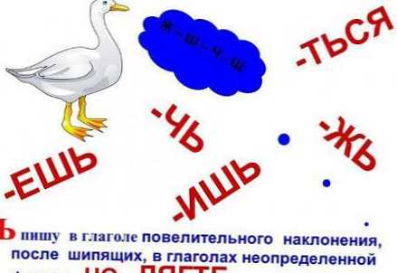 Како се правописно лаже или правилно лежи?