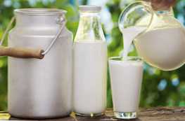 Kefir in mleko - kaj je skupnega v njih in kako se razlikujeta?