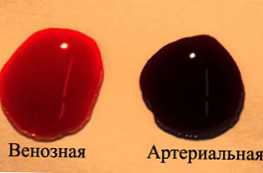 Основні відмінності венозної крові від артеріальної