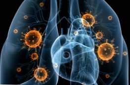 Pneumonie a bronchitida funkce a jak se liší