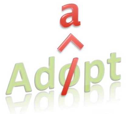 Різниця між Adopt і Adapt