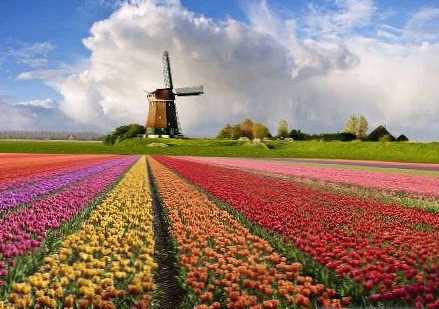 Razlika med Nizozemsko in Nizozemsko