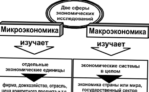 Різниця між макроекономікою і мікроекномікой