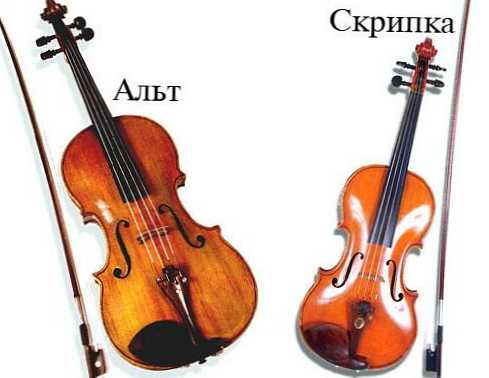 Різниця між скрипкою і альтом