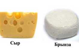 Sir in feta sir - kakšna je razlika med temi izdelki?