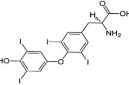 Tyroxín je všeobecný a bezplatný popis a aký je rozdiel?